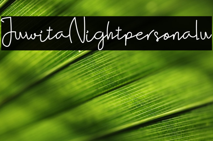 JuwitaNightpersonalu Example 1