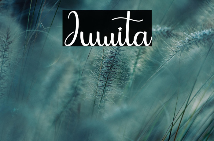 Juwita Example 2