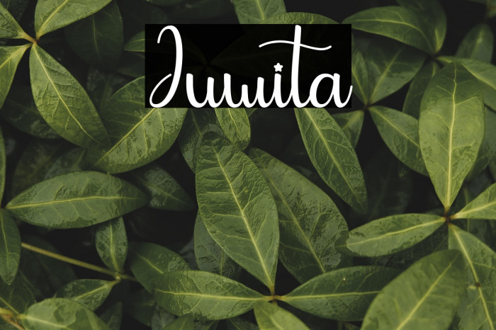 Juwita Example 3