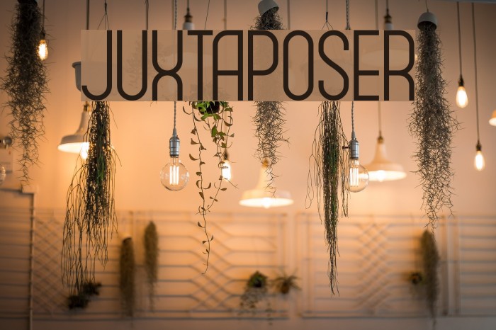 Juxtaposer Font examples
