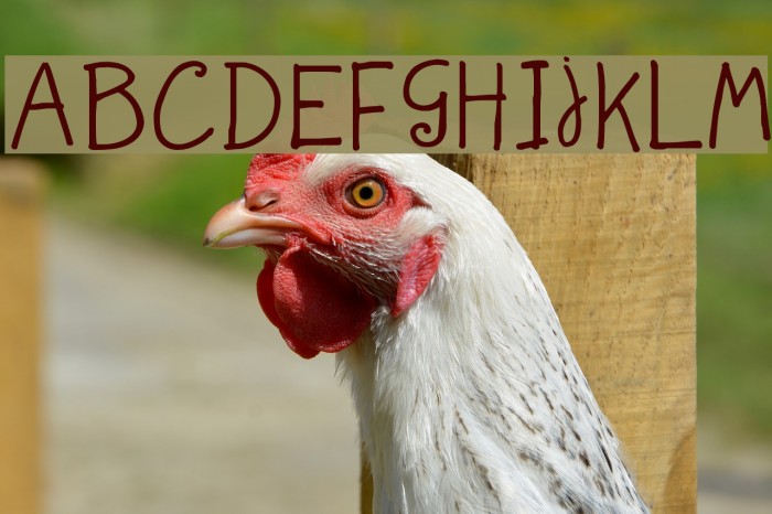 juleswriting Example 3