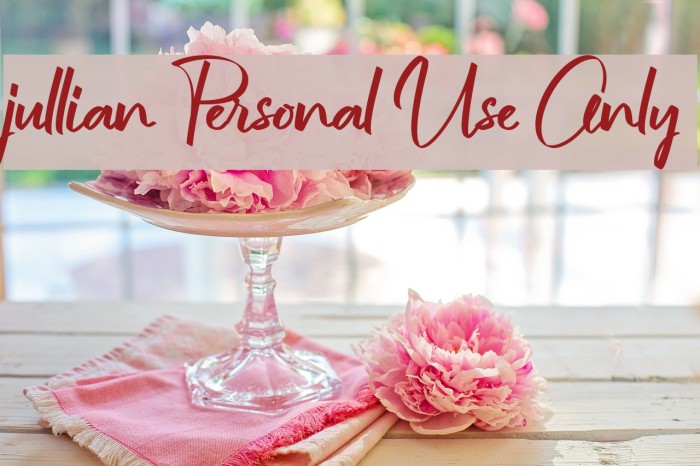 jullian Personal Use Only Example 3