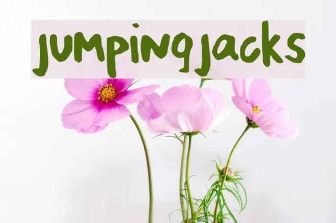 jumpingjacks Example 2