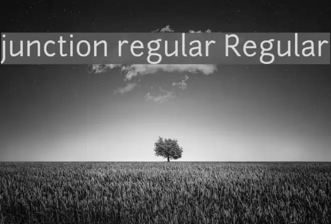 junction regular Regular Font examples