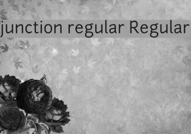 junction regular Regular Font examples
