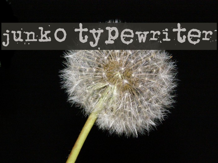 junko typewriter Font examples