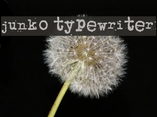 junko typewriter Example 2