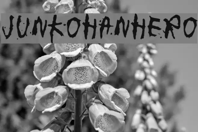 junkohanhero خط examples