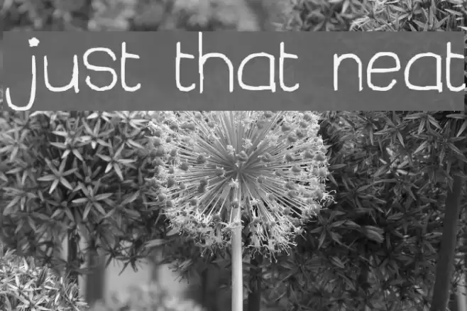 just that neat Font examples