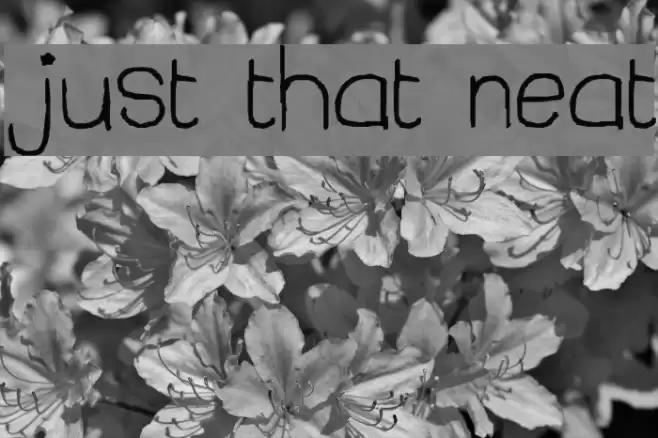 just that neat Font examples