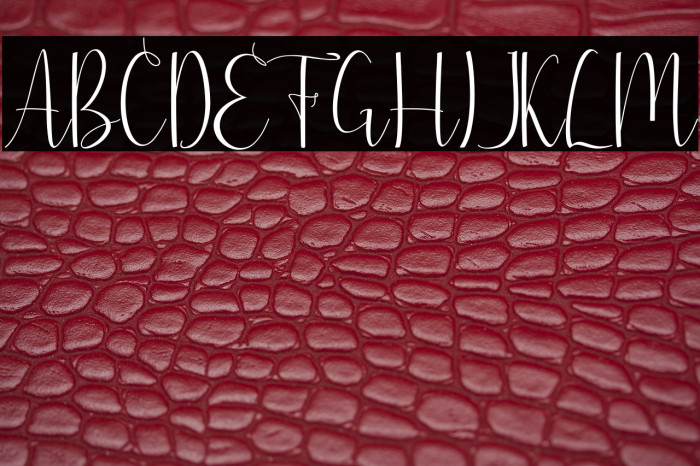 justfriends Example 1