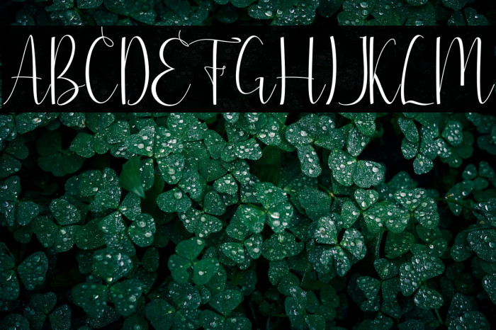 justfriends Example 1