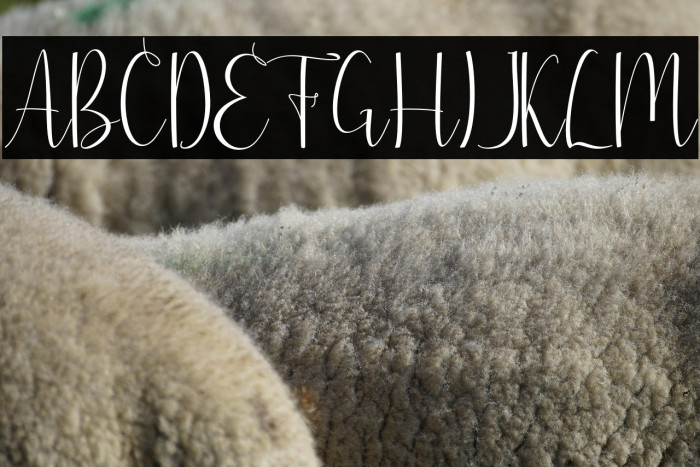 justfriends Example 3