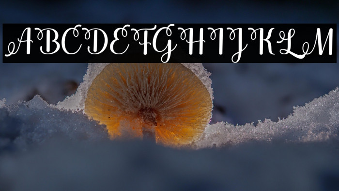 justinhoney Example 1