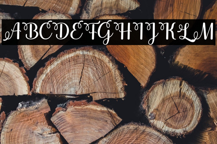 justinhoney Example 1