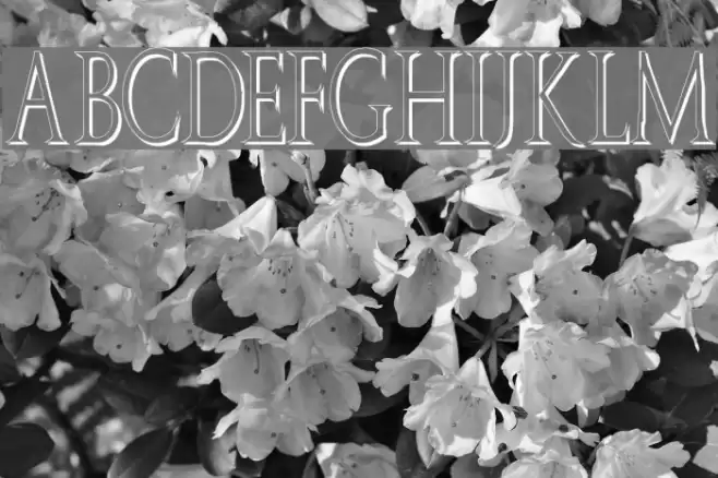 JW Brass Font examples