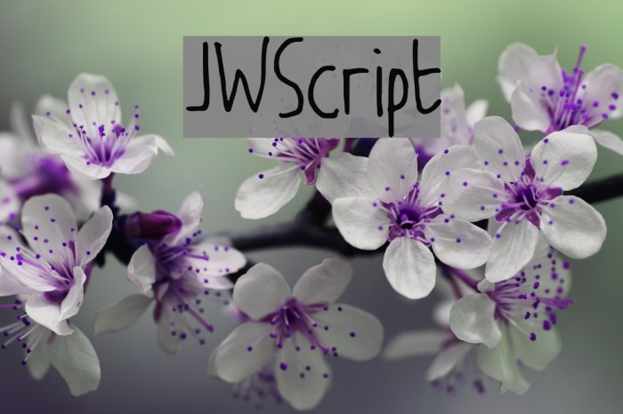 JW_Script Шрифта examples