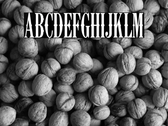 K22 Ambelyn Condensed Font examples