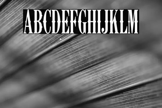 K22 Ambelyn Condensed Font examples