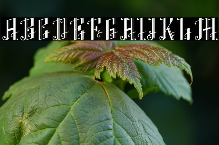 K22 Angular Text Example 2