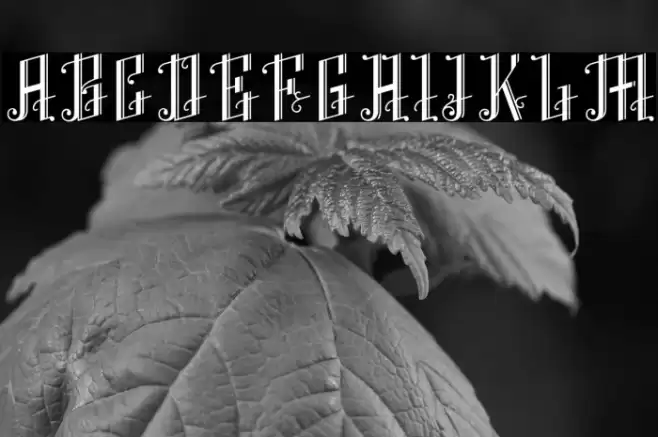 K22 Angular Text Font examples