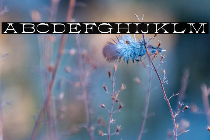 K22 Athenian Wide Example 2