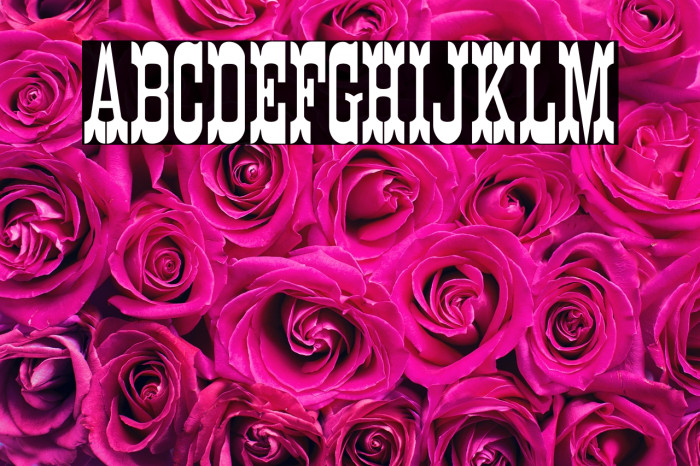 K22 Eureka NoFrills Example 1