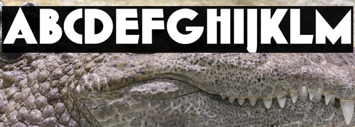 K22 Gadget Example 2