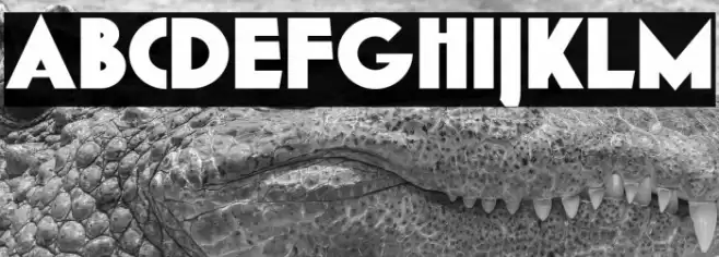 K22 Gadget Fonte examples