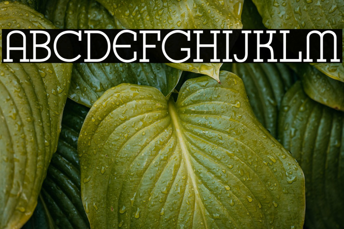 K22 Karnak Deco Example 3