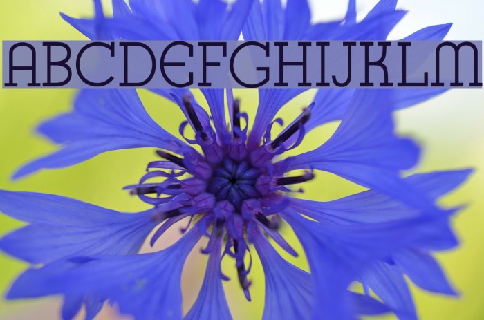 K22 Karnak Deco Font examples