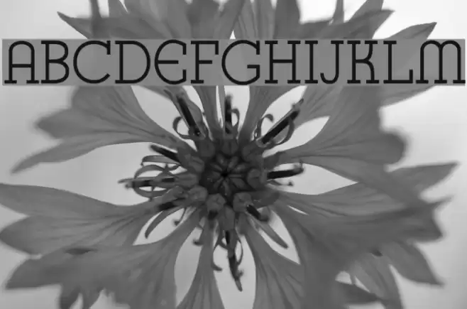 K22 Karnak Deco Fuentes examples