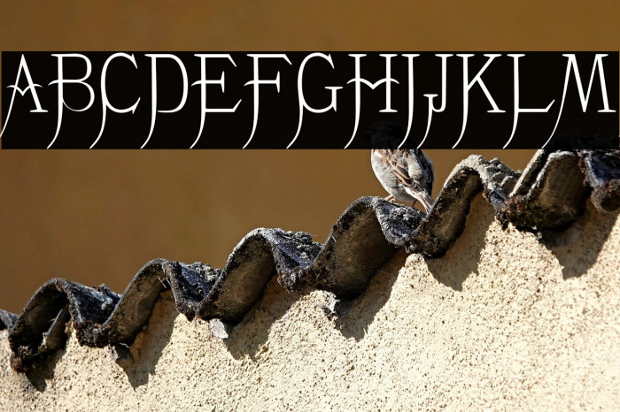 K22 Monastic Example 3