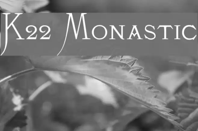 K22 Monastic Fuentes examples