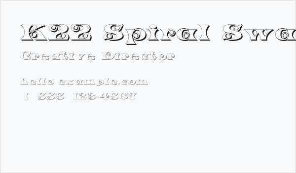 K22 Spiral Swash Shadow Business Card