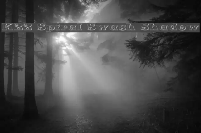 K22 Spiral Swash Shadow Font examples