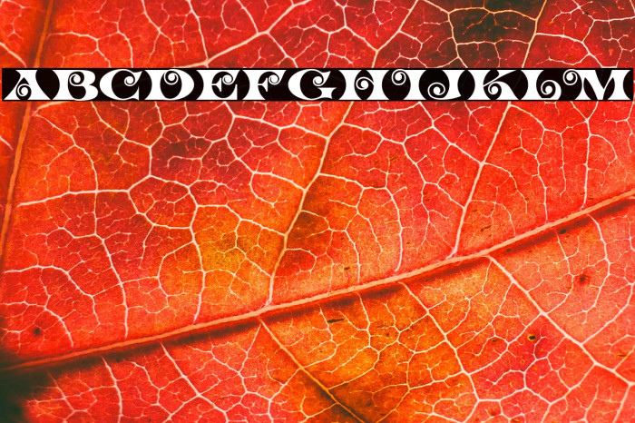 K22 Spiral Swash Example 2