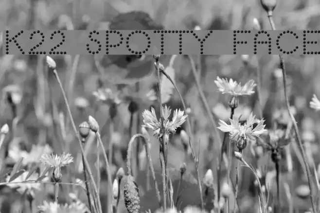 K22 Spotty Face Font examples