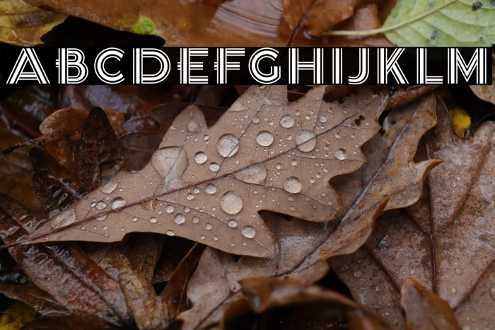 K22 Tri-Line Gothic Example 2