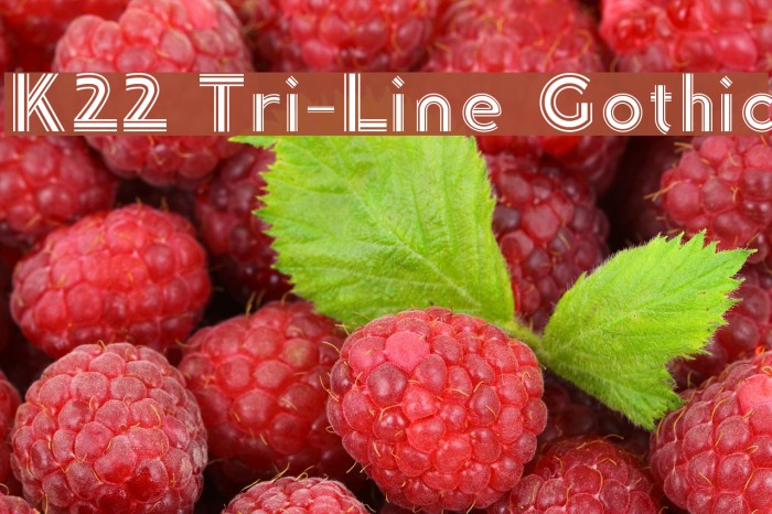 K22 Tri-Line Gothic Font examples