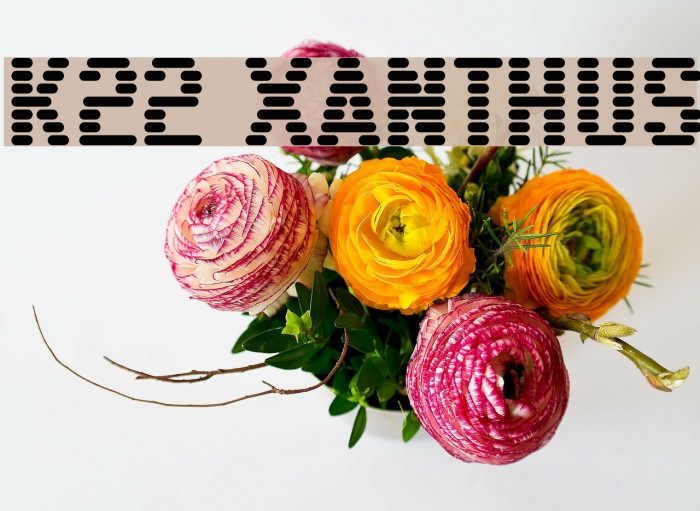 K22 Xanthus Font examples