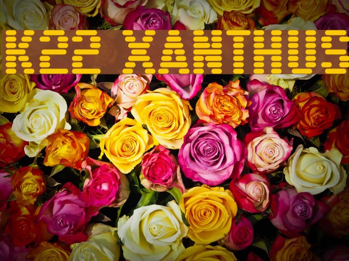 K22 Xanthus Font examples