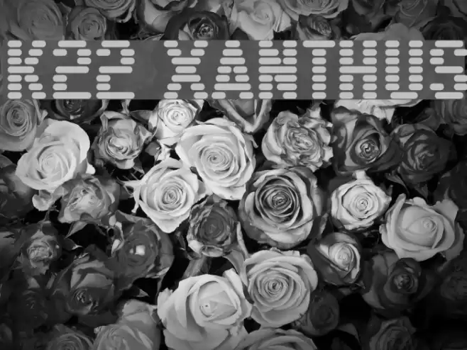 K22 Xanthus Font examples