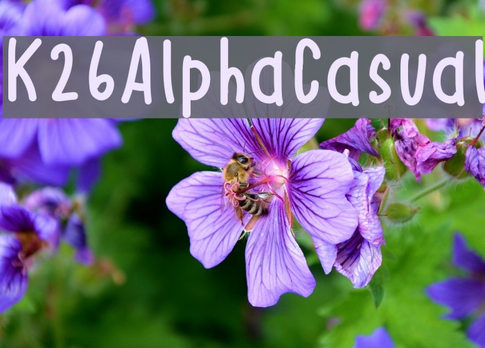 K26AlphaCasual Font examples