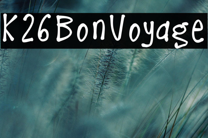 K26BonVoyage Example 1