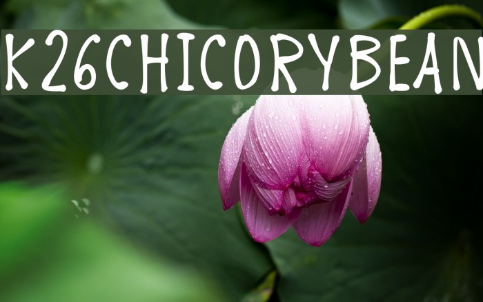 K26ChicoryBean Font examples