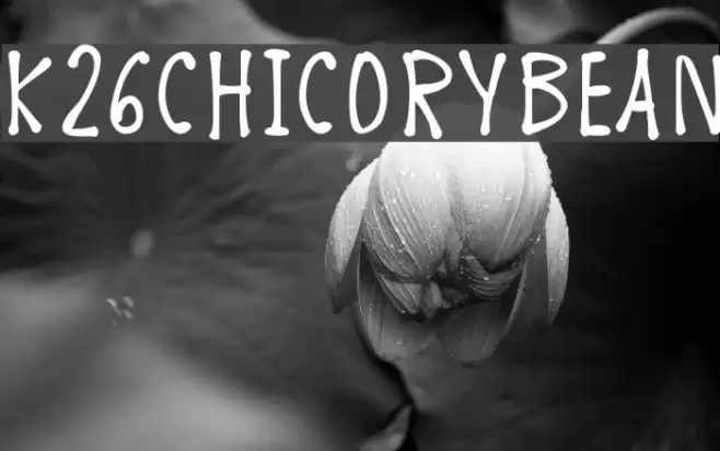 K26ChicoryBean フォント examples