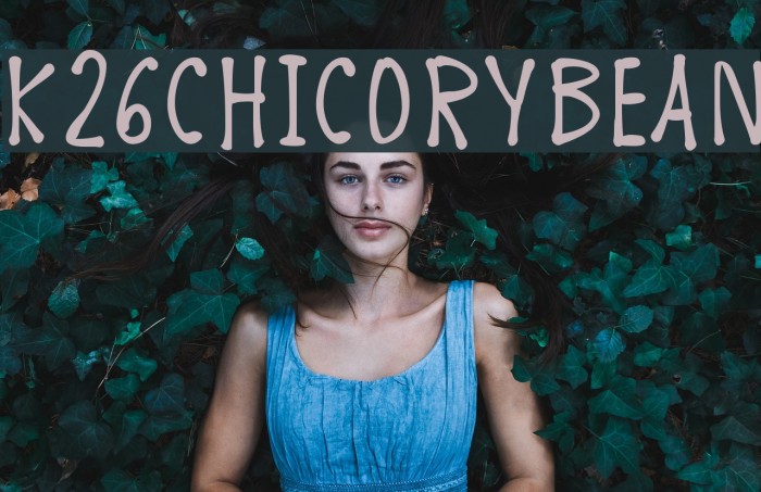 K26ChicoryBean Font examples