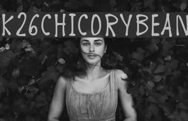 K26ChicoryBean フォント examples