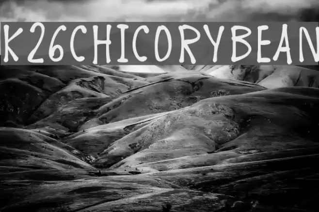 K26ChicoryBean フォント examples
